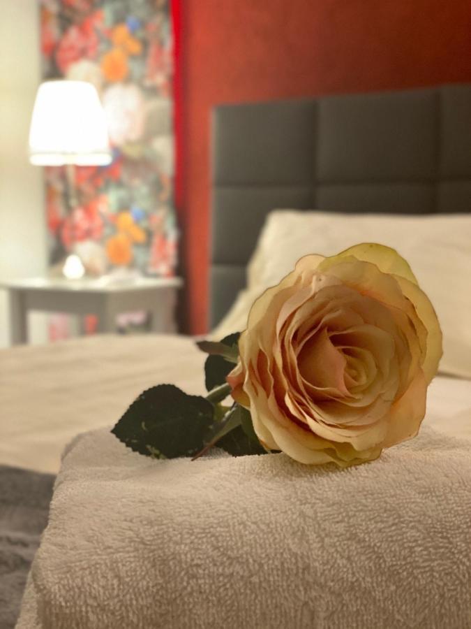Der Tanzhase Hotel 3*